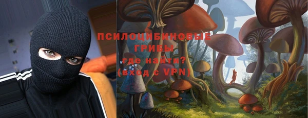 метадон Богданович