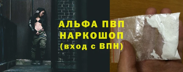 метадон Богданович