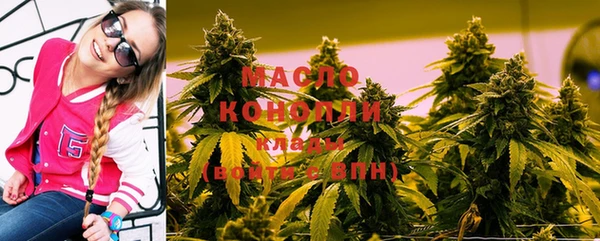 дживик Бородино