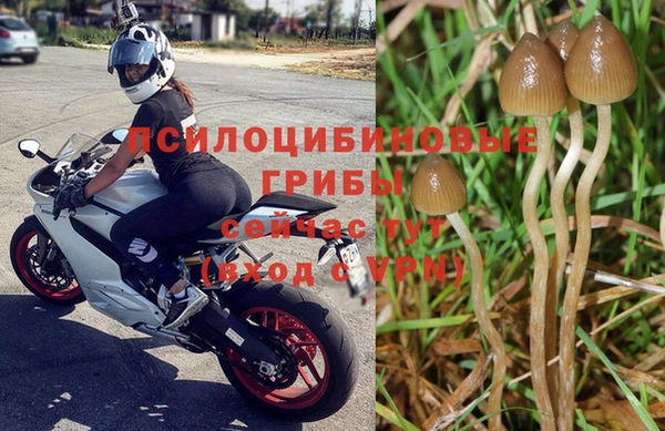 соль ск Богородицк