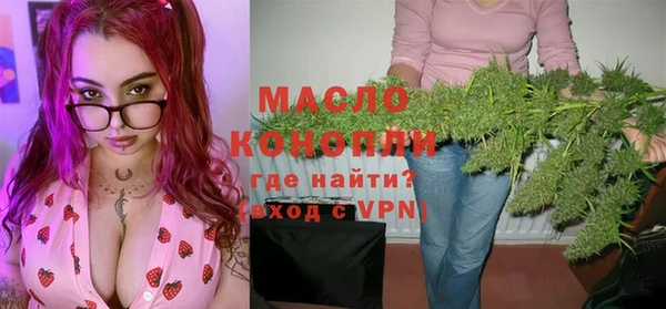 метадон Богданович