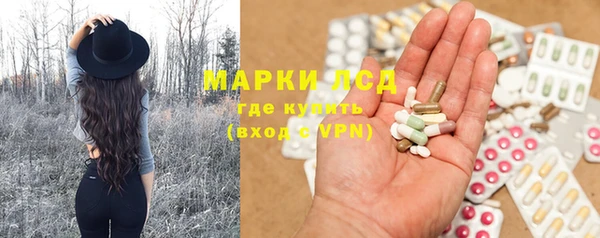 метадон Богданович